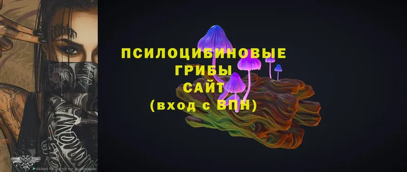 Галлюциногенные грибы Magic Shrooms  Соликамск 