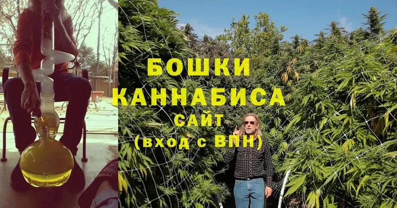 Бошки Шишки SATIVA & INDICA  Соликамск 